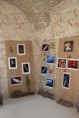 /album/svinarske-retezeni-2010/sviarske-retezeni-2010-9-jpg/